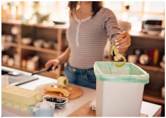 Best Countertop Compost Bins