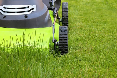 Best Mulching Lawn Mowers