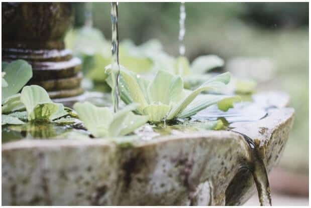 10 Best Garden Water Fountain Ideas for your Backyard