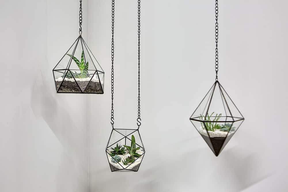 Hanging Terrariums