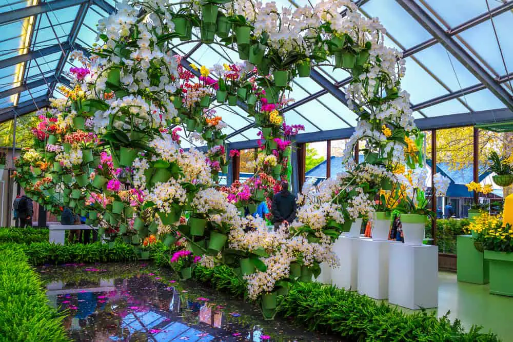 Indoor Arbor