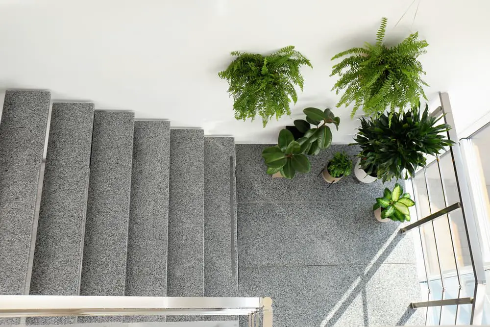 Stair Plants