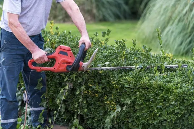 How to Sharpen Your Hedge Trimmer