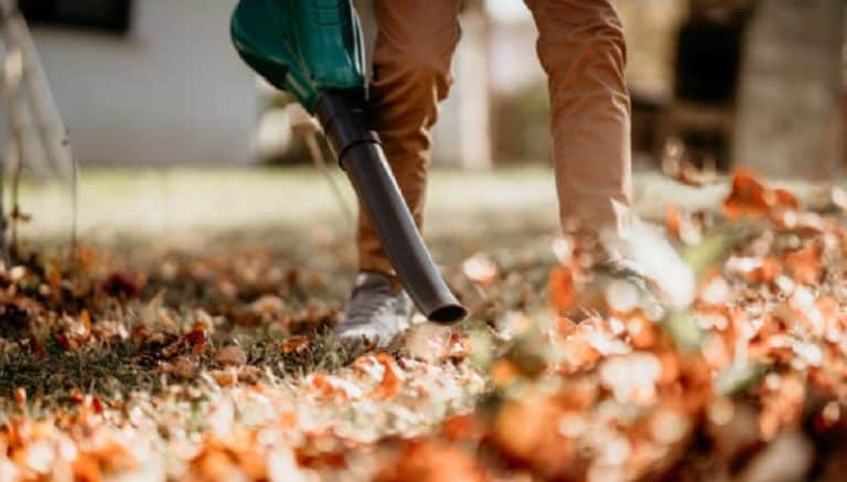 Best Corded Electric Leaf Blowers