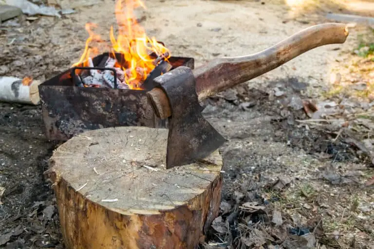 How to Get Rid of a Tree Stump with Charcoal (8 Easy Steps)