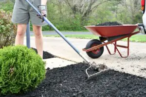 Does Thicker Mulch Prevent Weeds? A Home Gardener's Guide