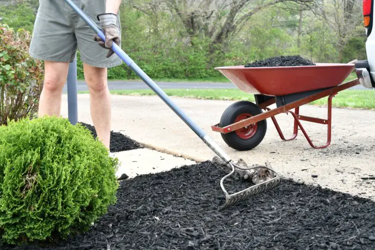 Does Thicker Mulch Prevent Weeds? A Home Gardener’s Guide
