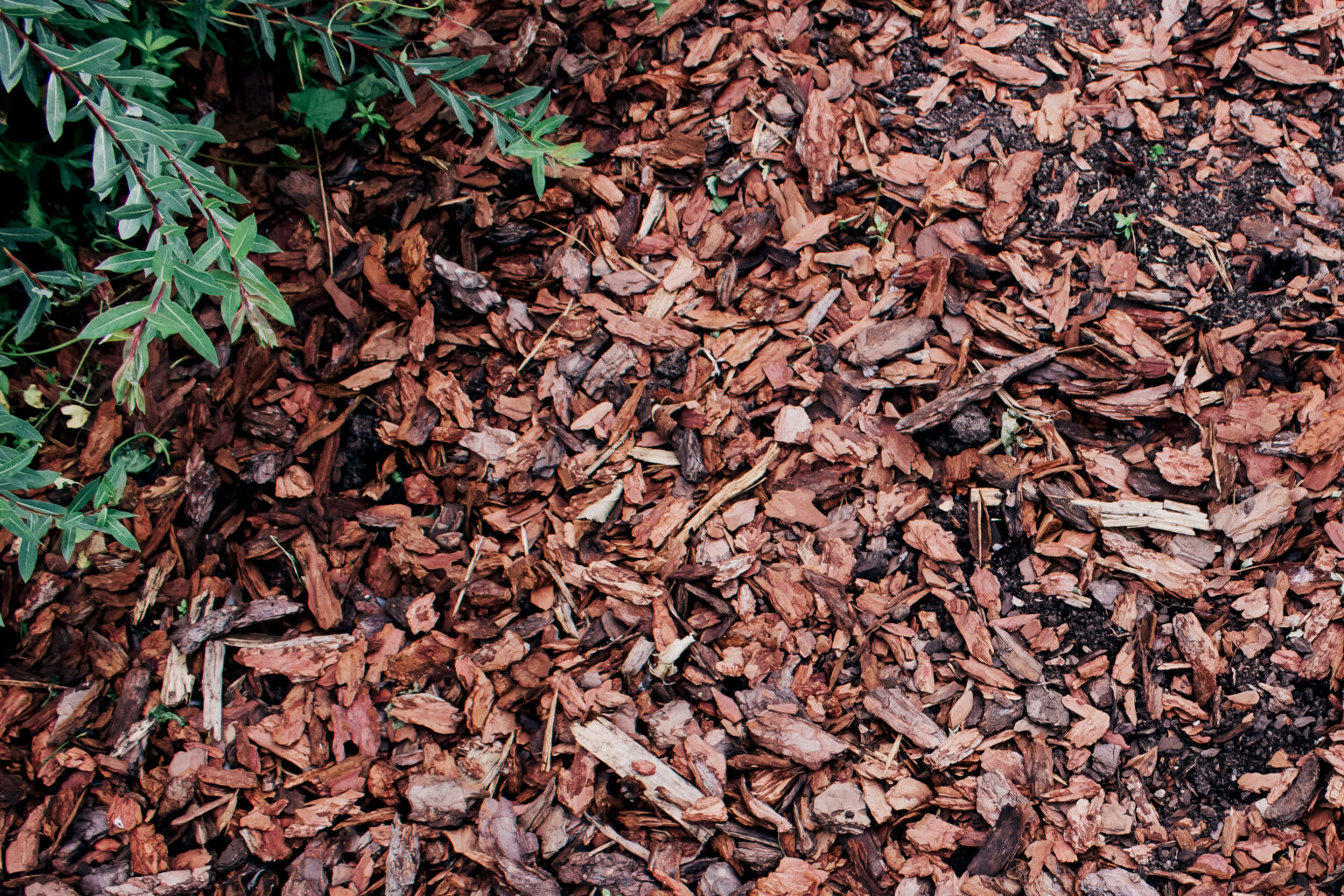 How Long Do Wood Chips Last For Landscaping?