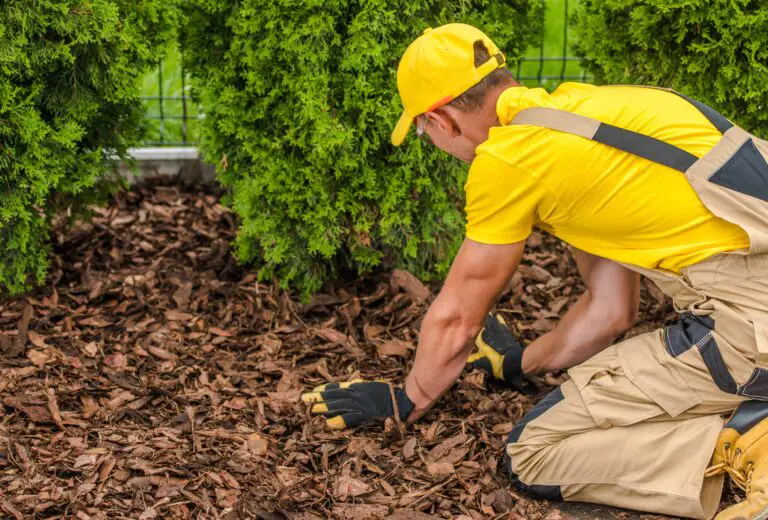How Long Do Wood Chips Last For Landscaping?