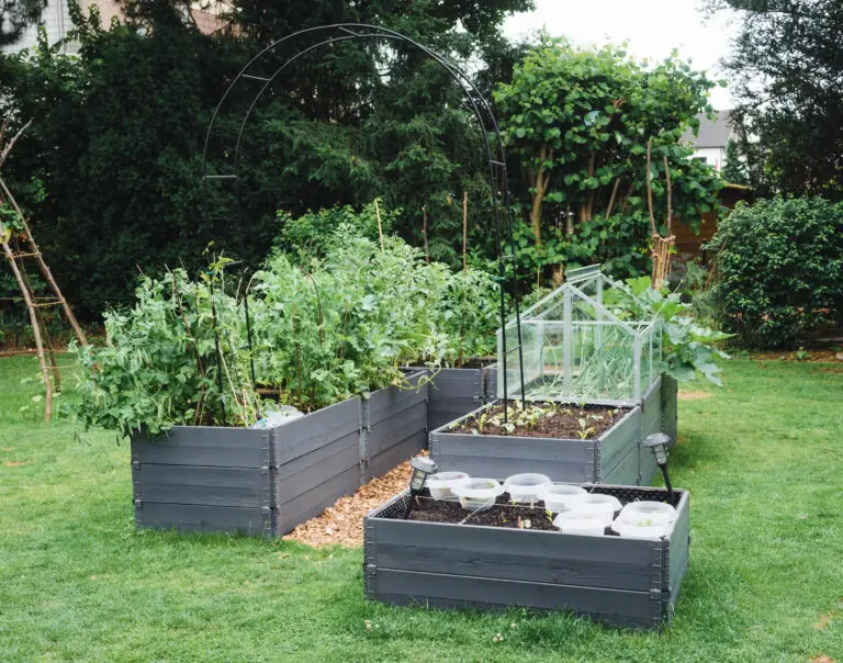 Can I Put A Greenhouse Over My Garden?