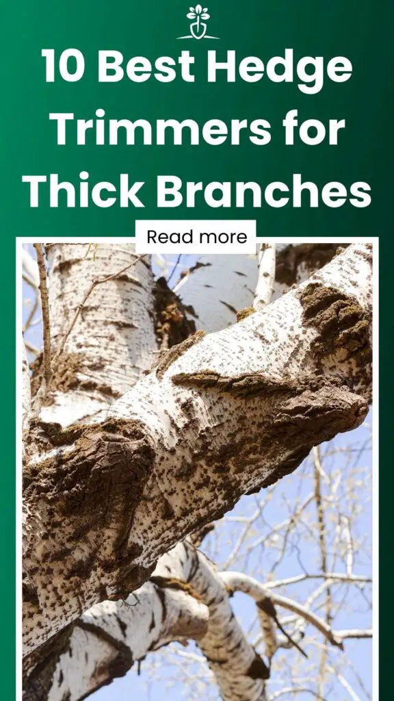 10 Best Hedge Trimmers for Thick Branches-min
