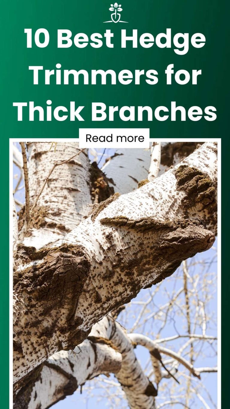 10 Best Hedge Trimmers for Thick Branches (September 2024)