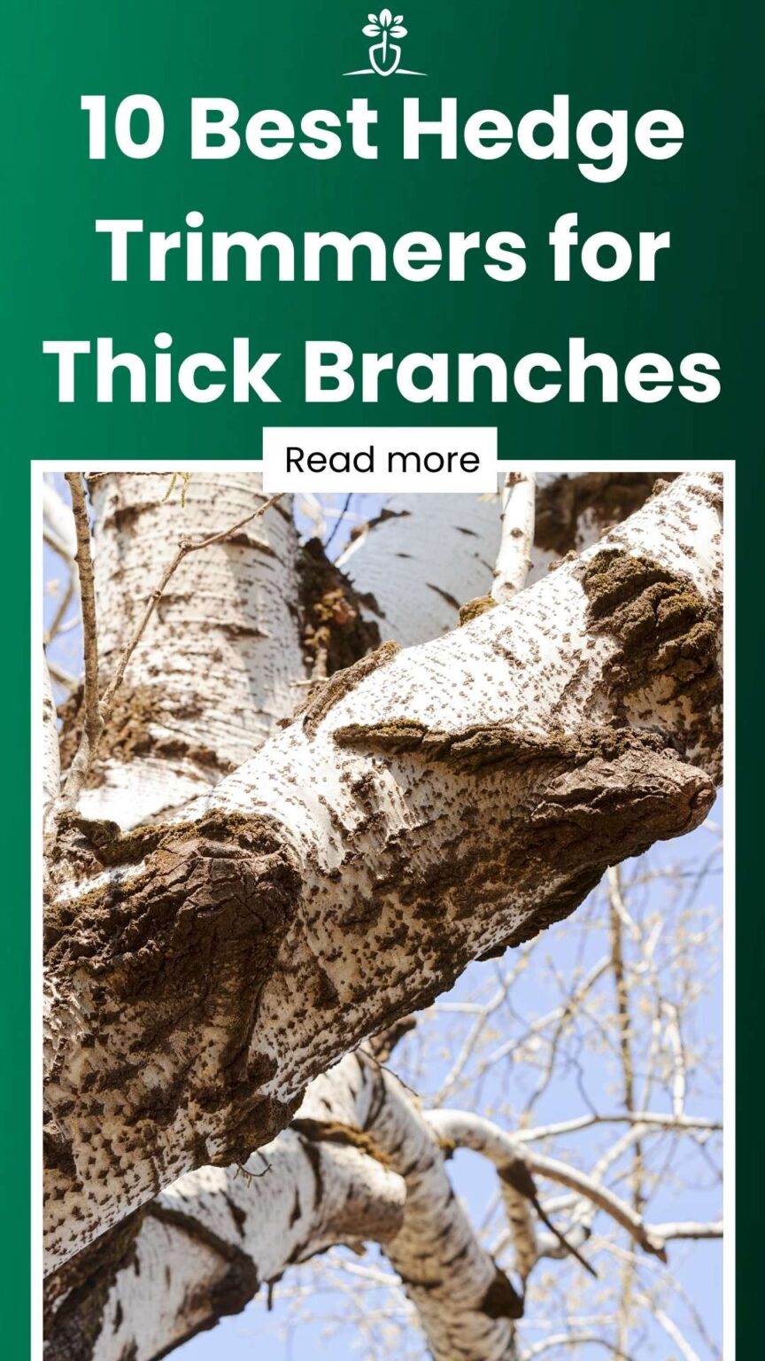 10 Best Hedge Trimmers for Thick Branches (July 2026)