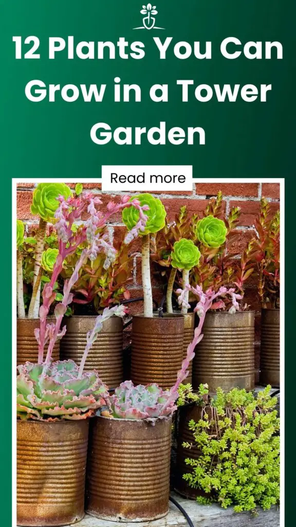 12 Plants You Can Grow in a Tower Garden-min