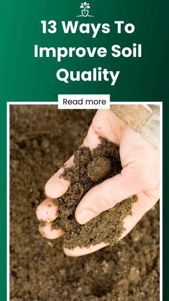 13 Ways To Improve Soil Quality-min