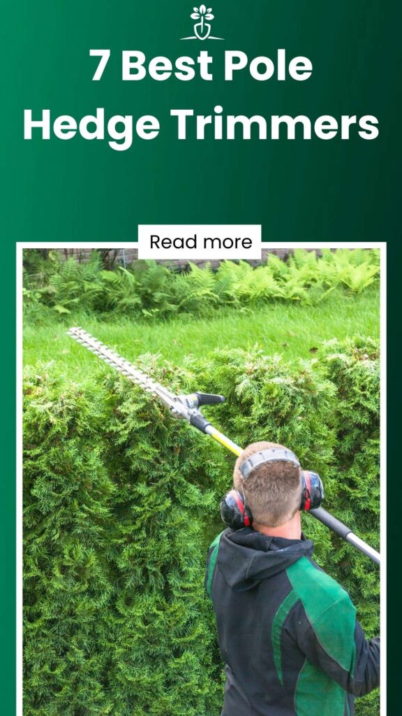 7 Best Pole Hedge Trimmers-min