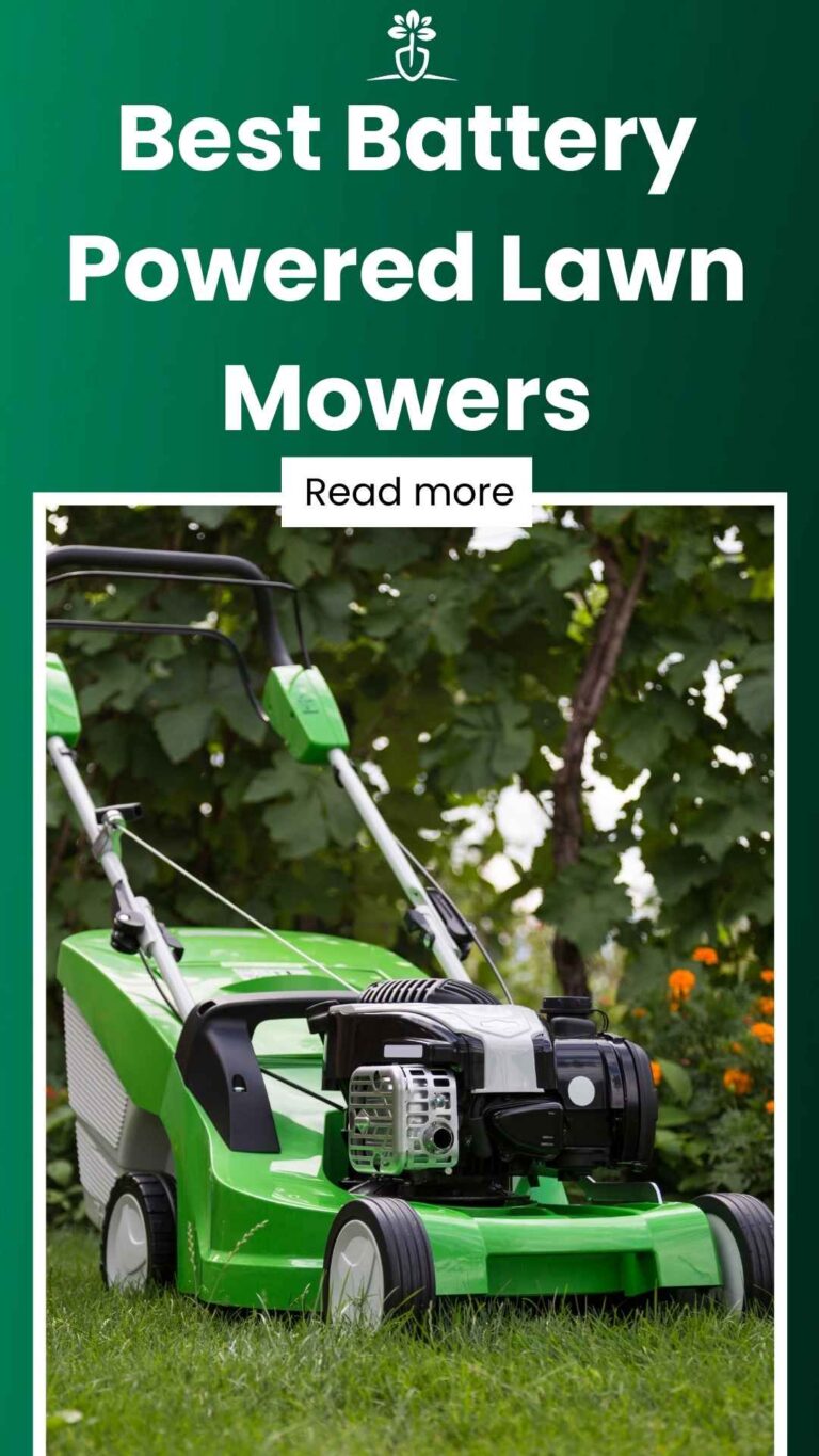 10 Best Cordless Battery Powered Lawn Mowers (June 2024)