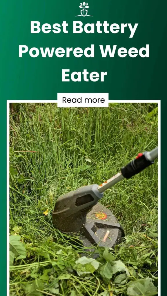 Best Battery Powered Weed Eater