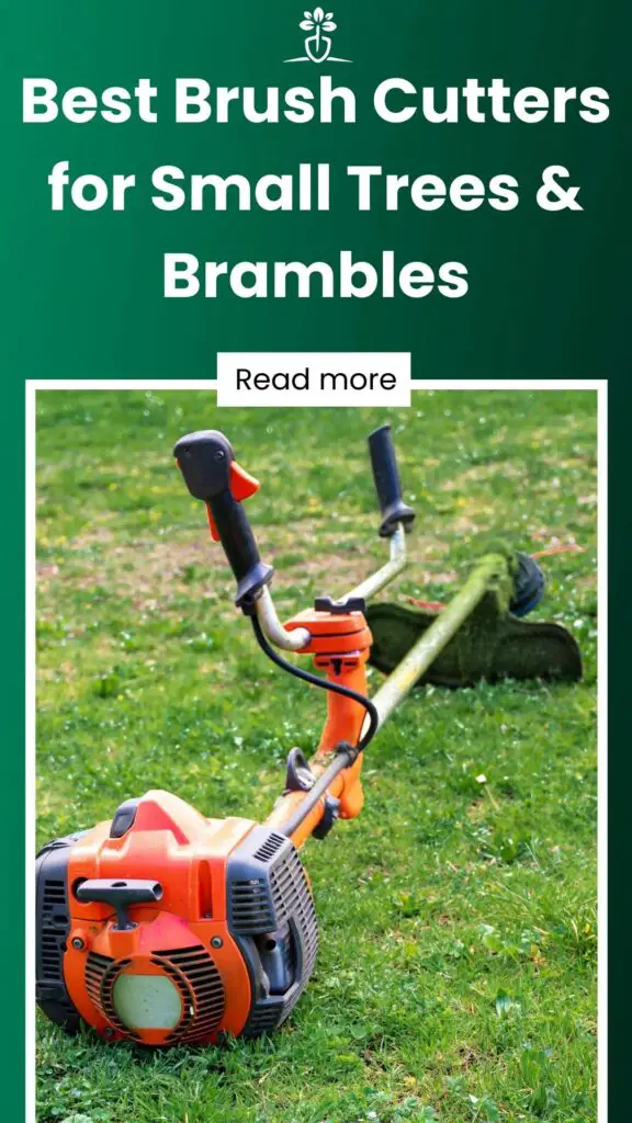 Best Brush Cutters for Small Trees & Brambles-min