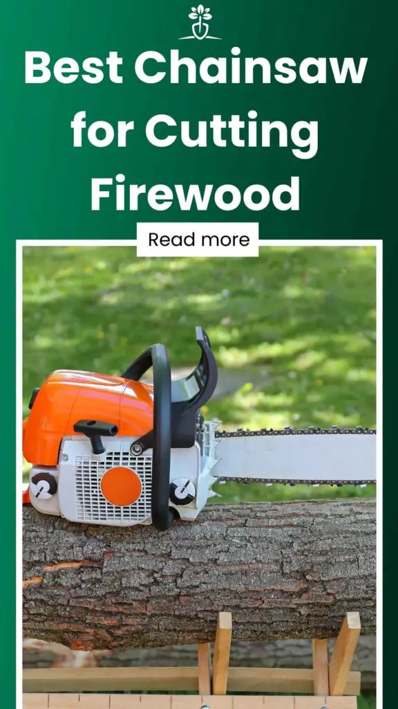 Best Chainsaw for Cutting Firewood
