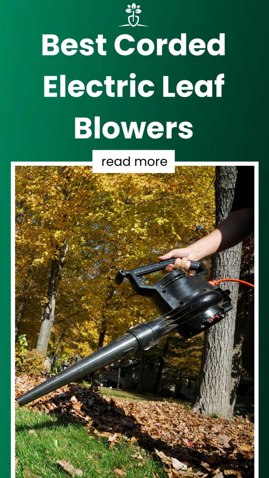 5 Best Corded Electric Leaf Blowers (2024 Reviews)