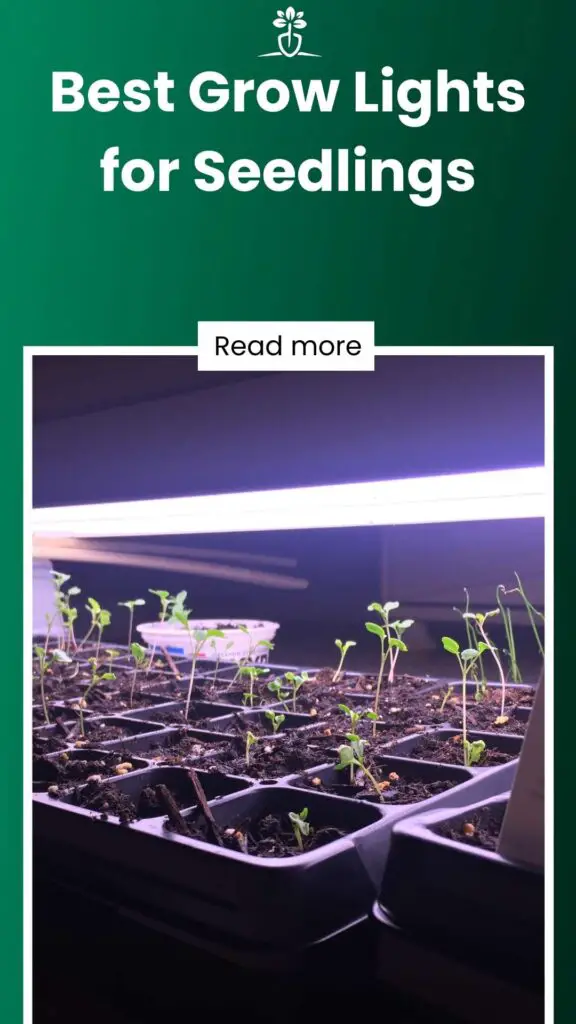 Best Grow Lights for Seedlings-min