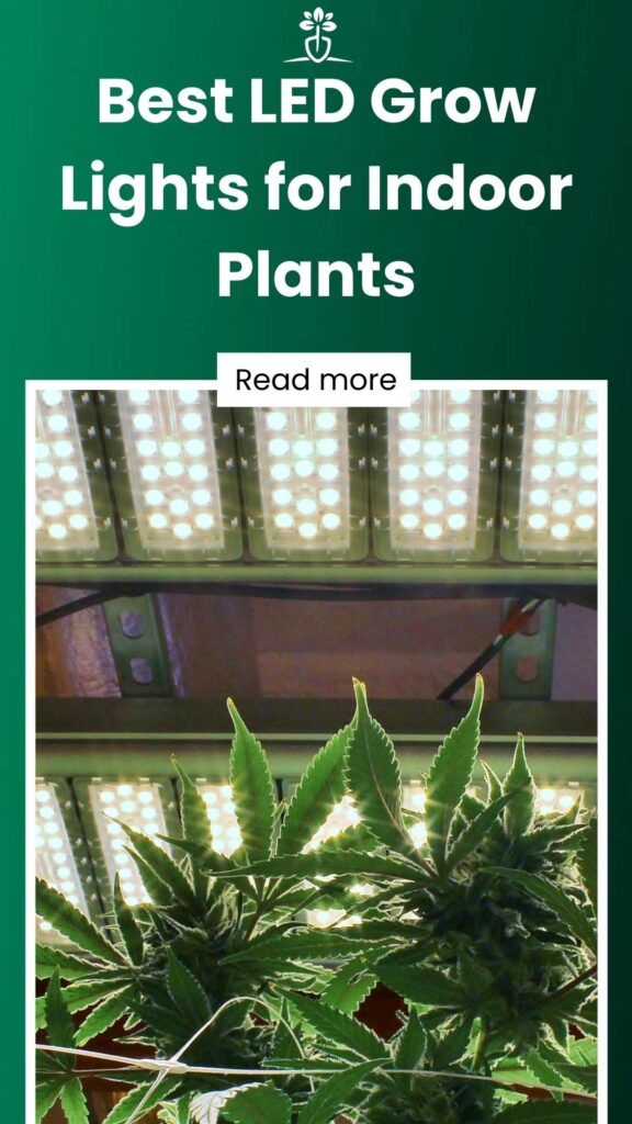 Best LED Grow Lights for Indoor Plants-min