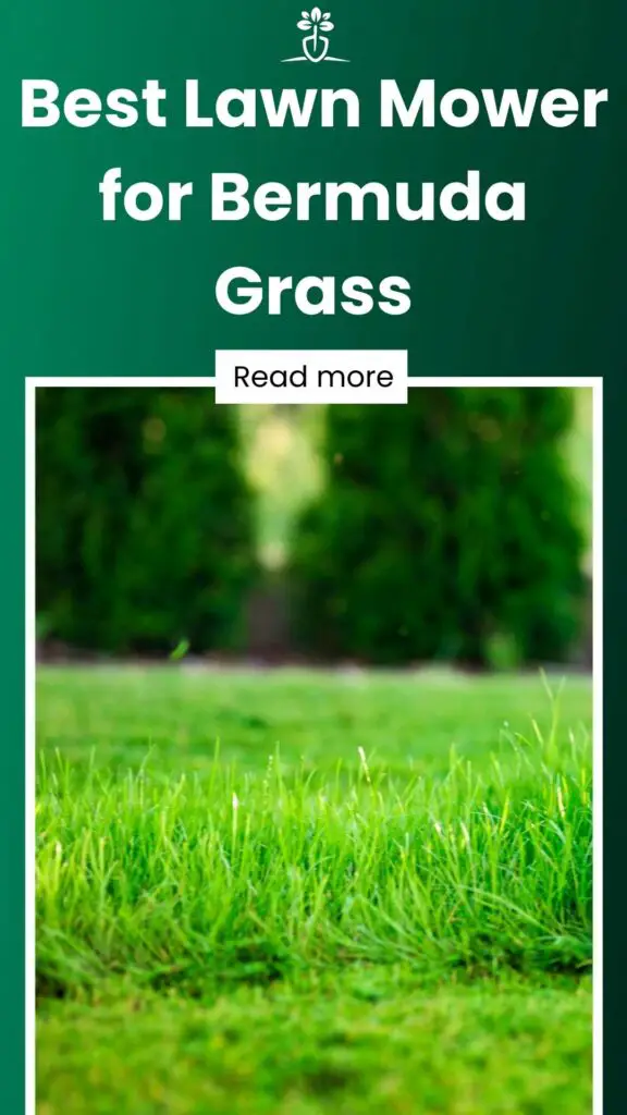 Best Lawn Mower for Bermuda Grass-min