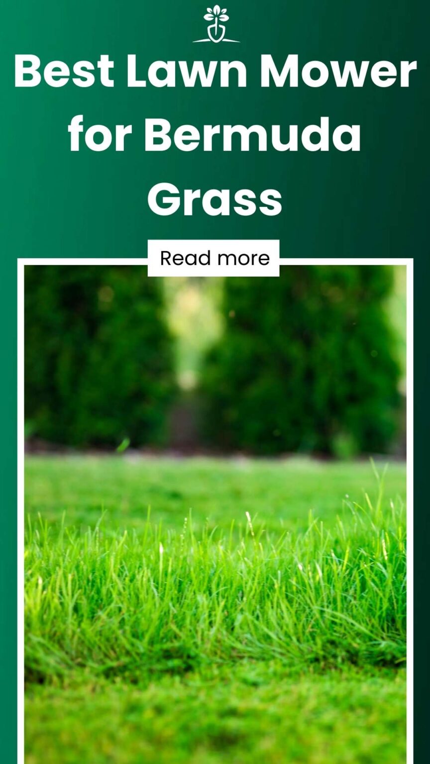 7 Best Lawn Mowers for Bermuda Grass in 2024 (Full Reviews)
