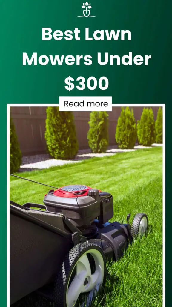 Best Lawn Mowers Under $300-min