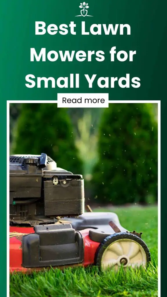 Best Lawn Mowers for Small Yards