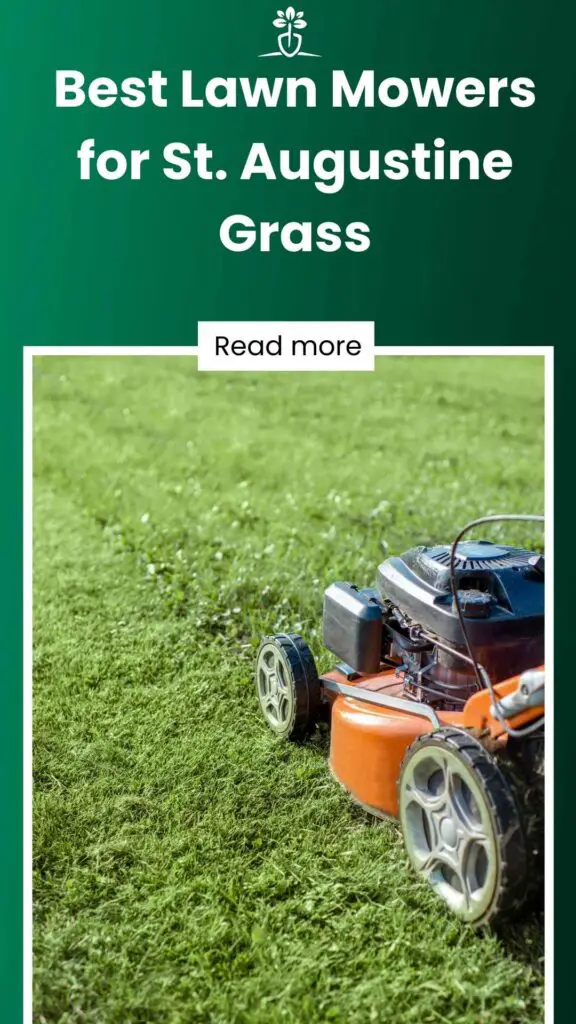 Best Lawn Mowers for St. Augustine Grass