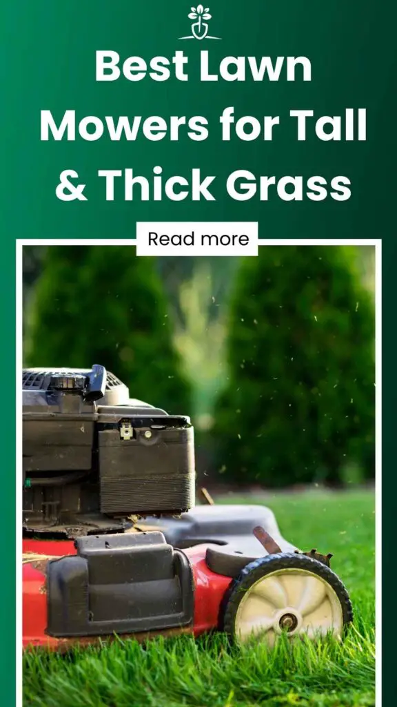 Best Lawn Mowers for Tall & Thick Grass