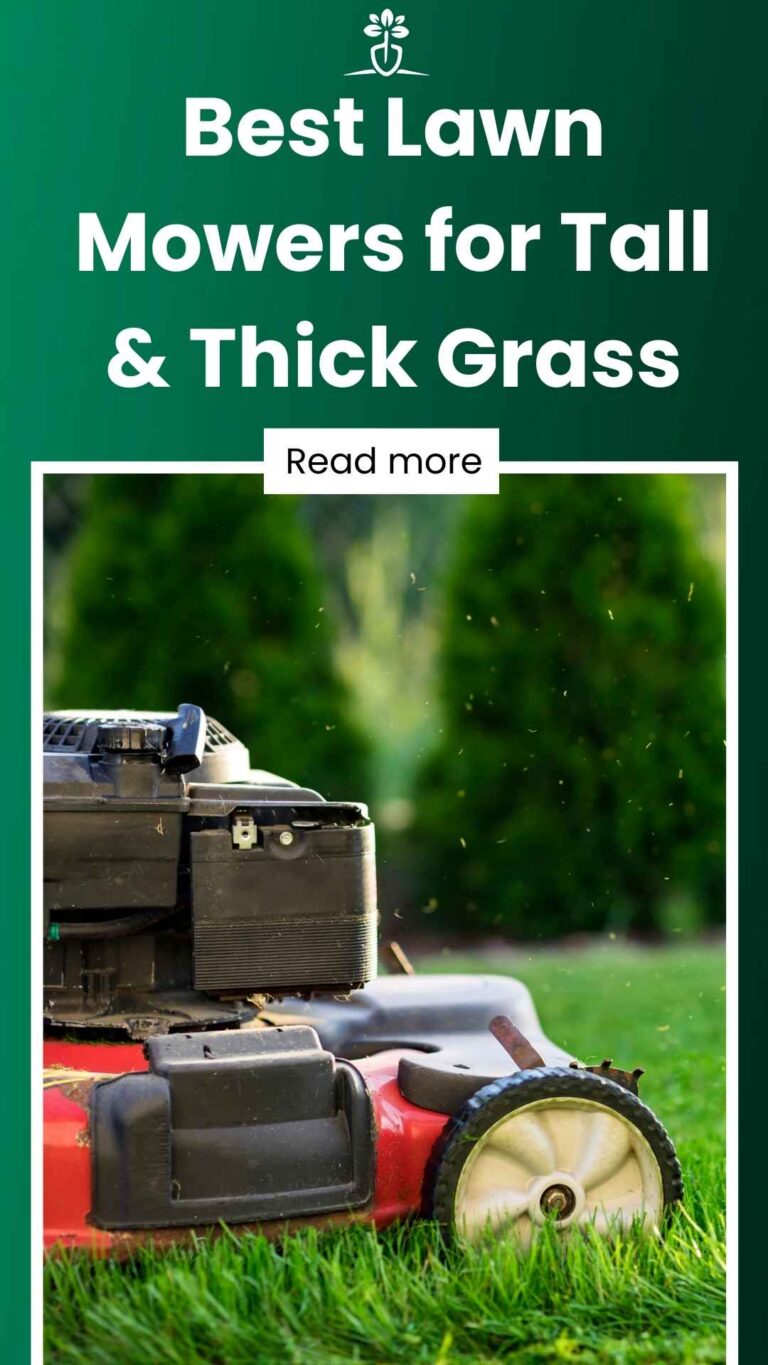 5 Best Lawn Mowers for Tall & Thick Grass (2024)