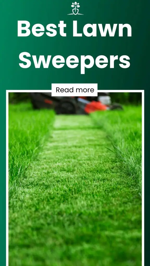 Best Lawn Sweepers-min