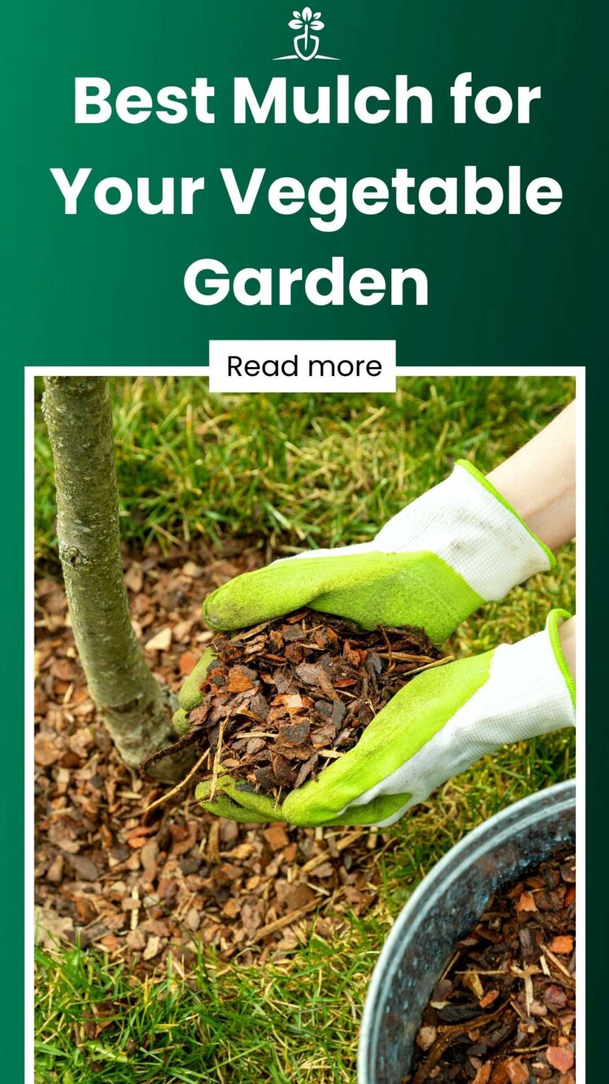 5 Best Mulches for Vegetable Gardens & Flower Beds in 2024