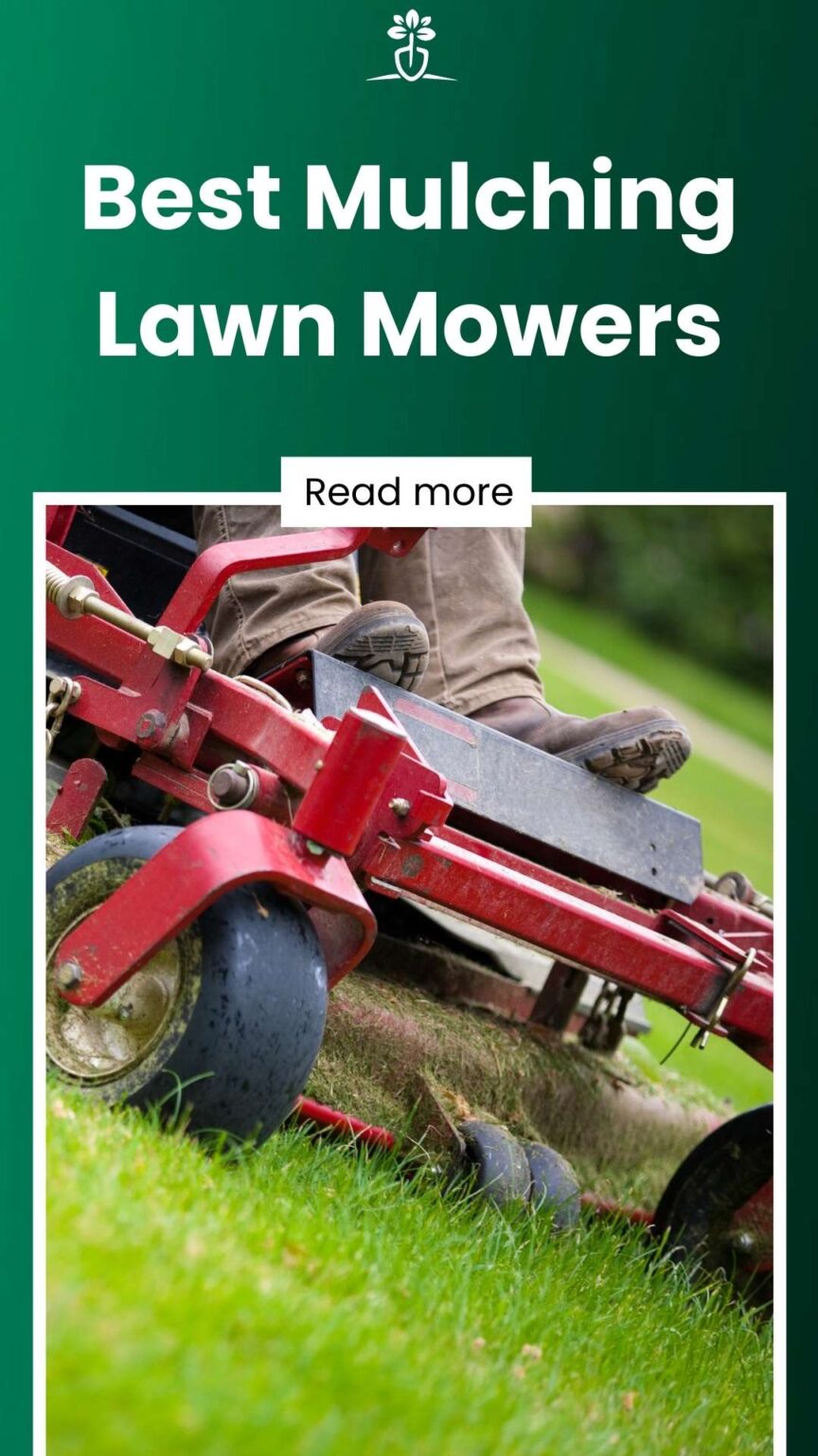 10 Best Mulching Lawn Mowers (August 2024)