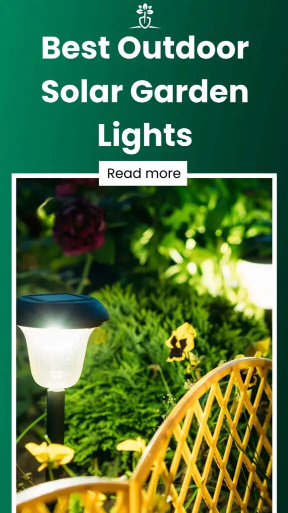 Best Outdoor Solar Garden Lights-min