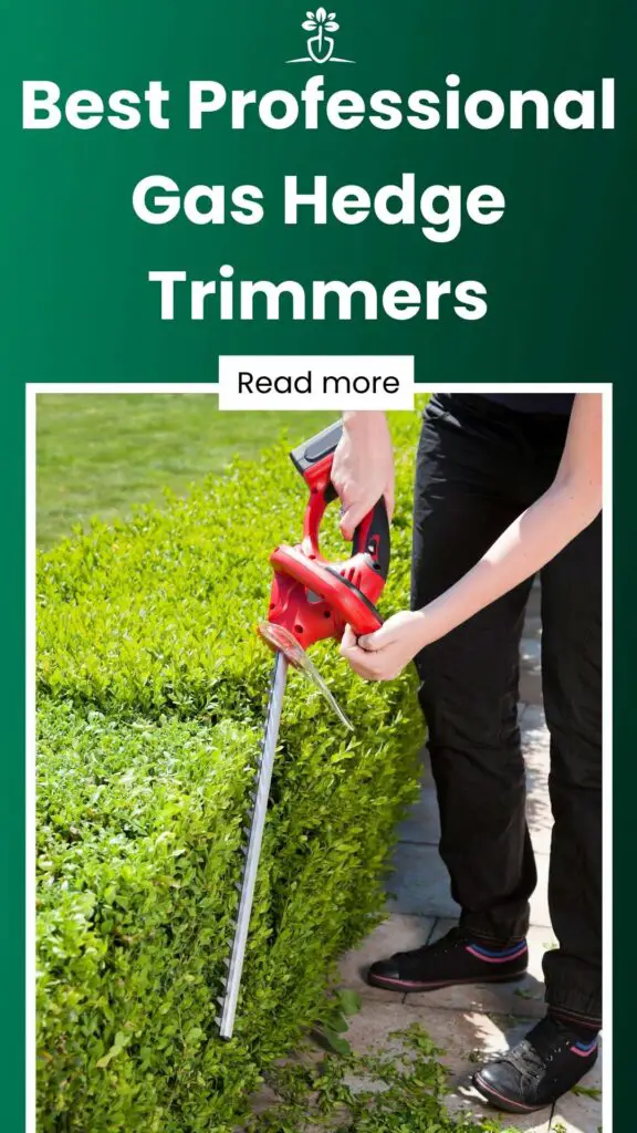 Best Professional & Commercial Gas Hedge Trimmers (2024)