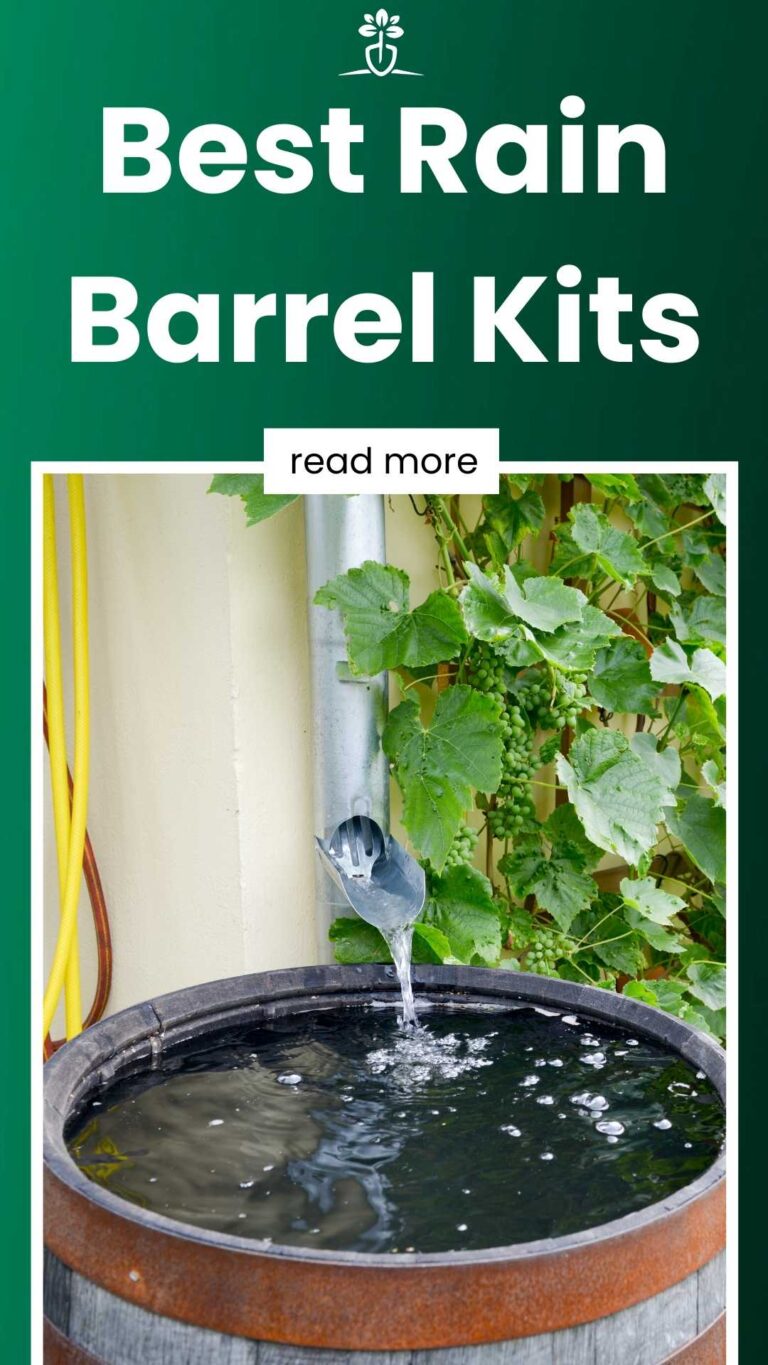 The 10 Best Rain Barrel Kits in 2024 (Reviews & Research)