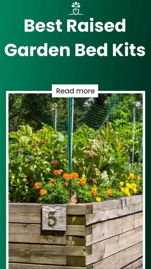 Best Raised Garden Bed Kits-min