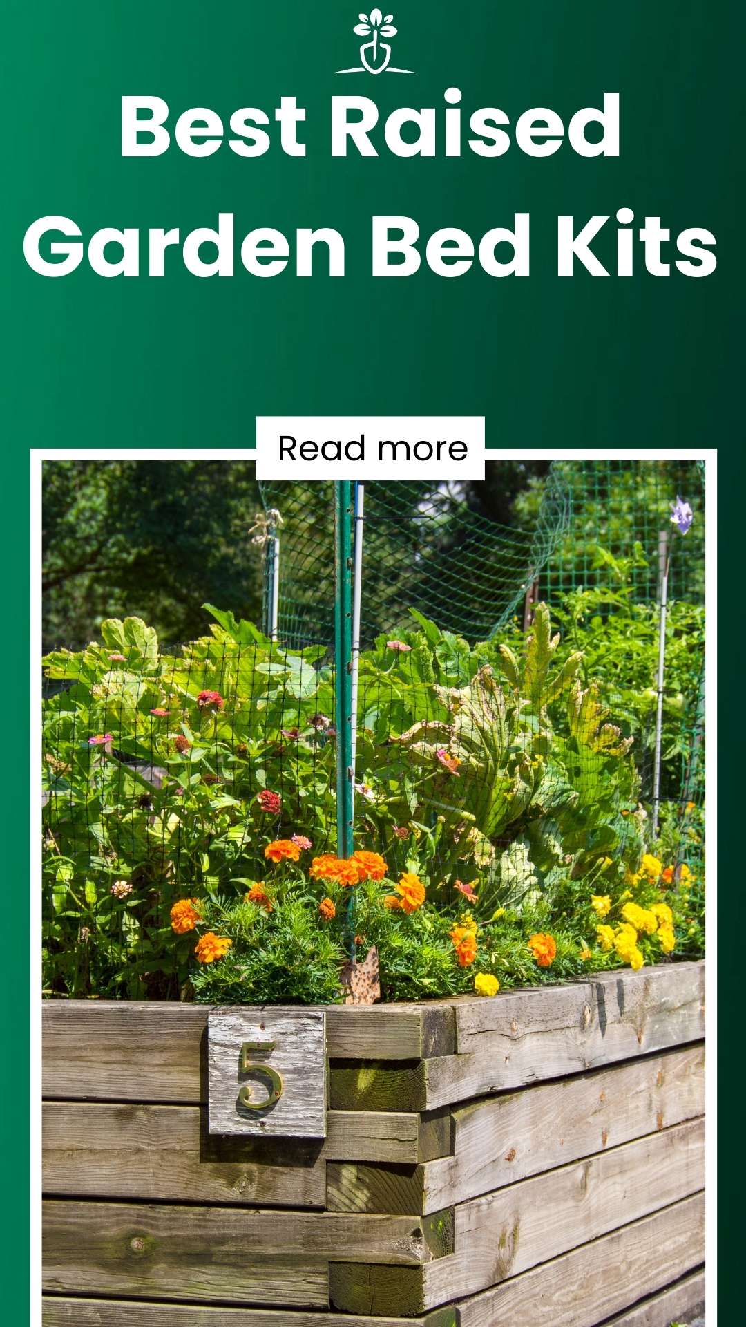 7 Best Raised Garden Bed Kits & Planter Boxes (January 2024)