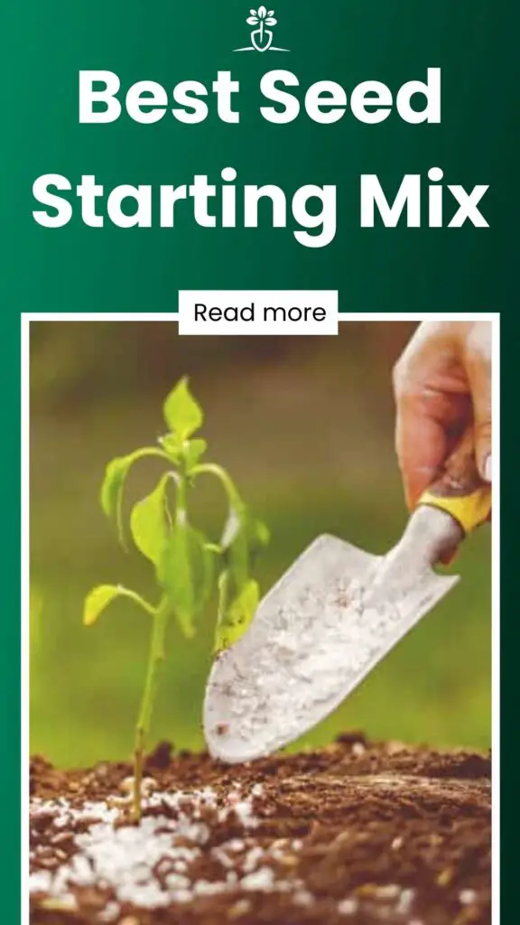 Best Seed Starting Mix-min