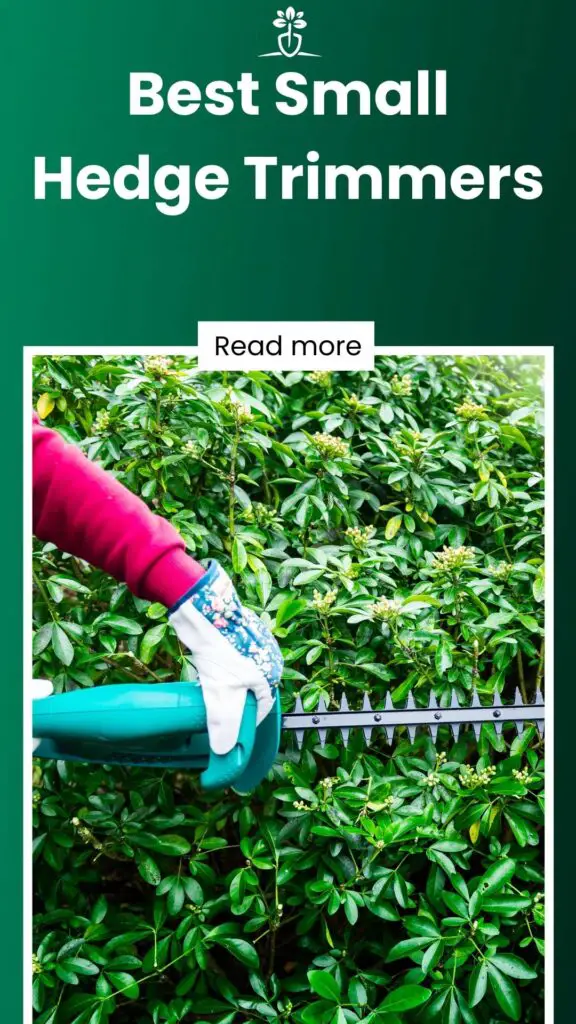 Best Small Hedge Trimmers-min