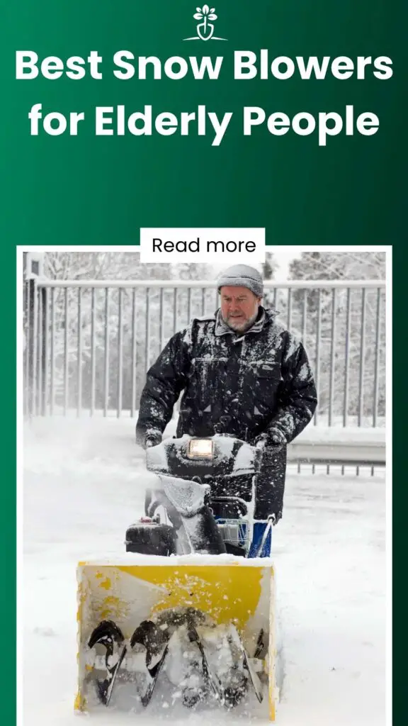 Best Snow Blowers for Elderly People-min