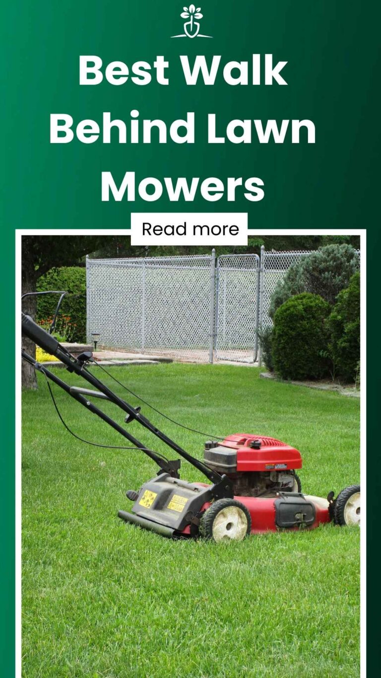 Best Walk Behind Lawn Mowers 2024 & Residential)