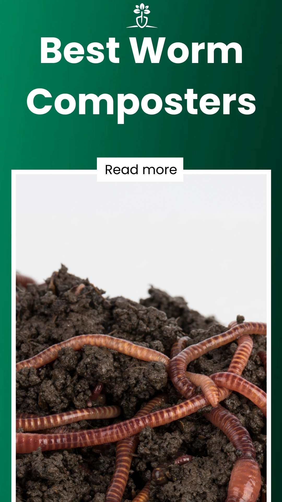 5 Best Worm Composting Bins in 2024