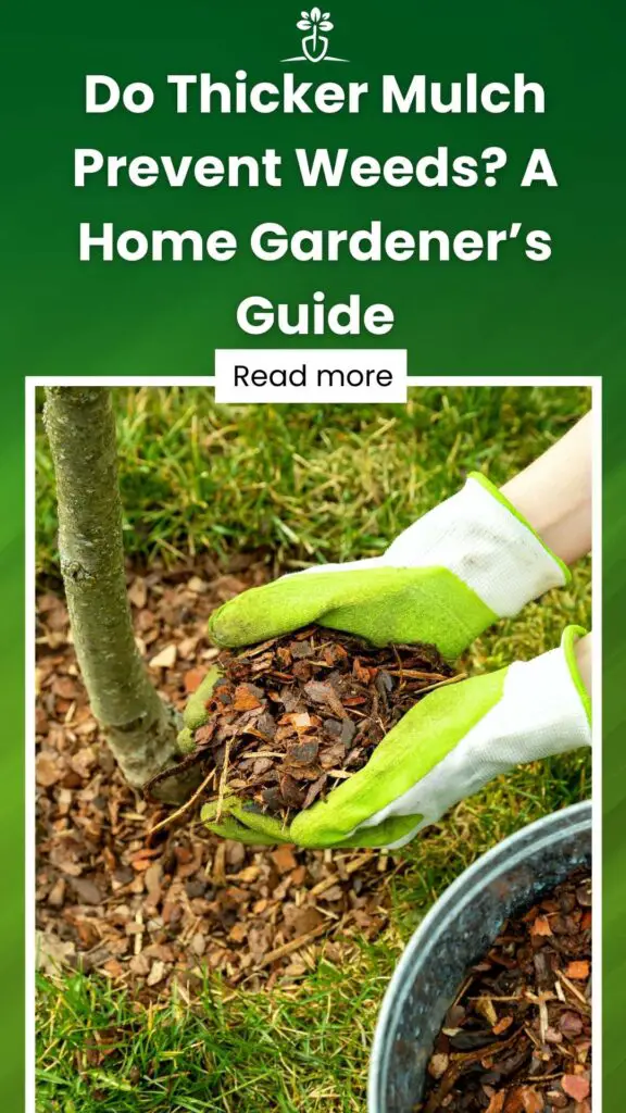 Does Thicker Mulch Prevent Weeds A Home Gardener’s Guide-min
