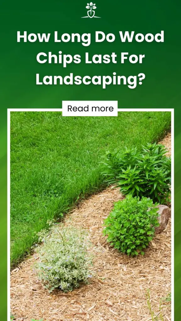 How Long Do Wood Chips Last For Landscaping-min