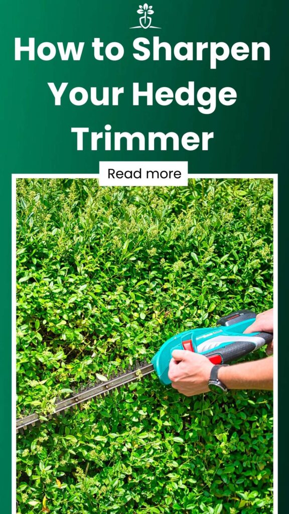How to Sharpen Your Hedge Trimmer-min